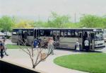 Ikarus 286 1980 года